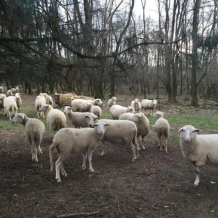 Gæstehus Tourmaline